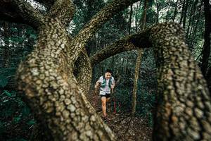 BIB: 
                            <button type="button" onclick="openModal(25393062)" class="btn btn-primary btn-sm float-right btn-popup" data-toggle="modal" data-target=".modal-high-quality">
                        <i class="fas fa-shopping-cart"></i> Add to Cart
                    </button>
                                            <button type="button" onclick="isThisMe(25393062, true)" class="btn btn-success btn-sm float-right btn-popup btn-isme hidden" data-toggle="tooltip" data-placement="bottom" title="นี่คือรูปของคุณใช่ไหม คลิกที่นี่เพื่อเอาเข้าอัลบั้ม">
                        <i class="fas fa-plus"></i> Add to album
                    </button>
                    <button type="button" onclick="isThisMe(25393062, false)" class="btn btn-warning btn-sm float-right btn-popup btn-isnotme hidden">
                        <i class="fas fa-ban"></i> Remove from album
                    </button>